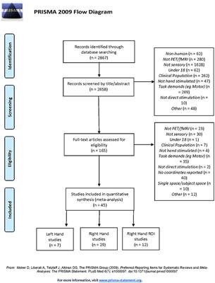 Activation of Bilateral Secondary Somatosensory Cortex With Right Hand Touch Stimulation: A Meta-Analysis of Functional Neuroimaging Studies